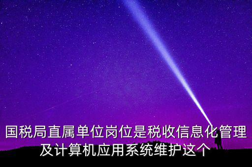 國稅局直屬單位崗位是稅收信息化管理及計算機應(yīng)用系統(tǒng)維護這個