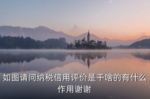 如圖請(qǐng)問(wèn)納稅信用評(píng)價(jià)是干啥的有什么作用謝謝