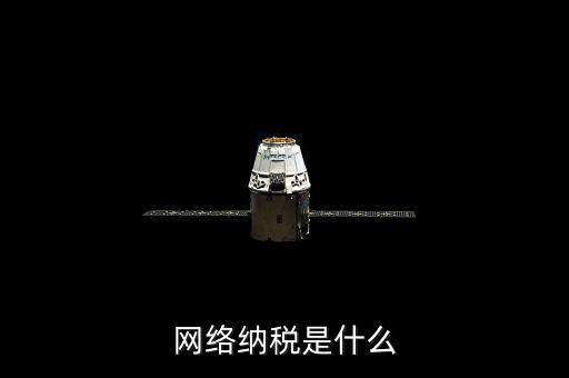 網絡納稅是什么