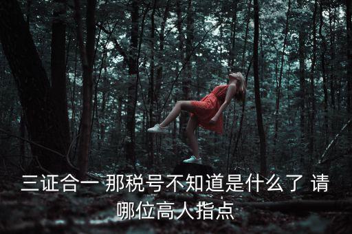 三證合一后的發(fā)票稅號是什么意思，三證合一 那稅號不知道是什么了 請哪位高人指點(diǎn)