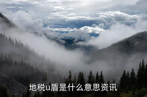 地稅u盾是什么意思，國稅局公司用的打發(fā)票u盾幾多錢