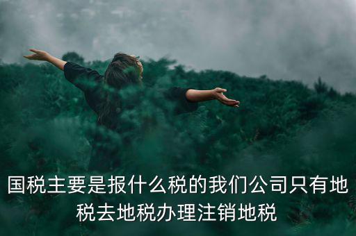 國稅主要是報(bào)什么稅的我們公司只有地稅去地稅辦理注銷地稅