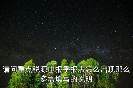 重點(diǎn)稅源申報(bào)要填什么，重點(diǎn)稅源申報(bào)表怎樣填