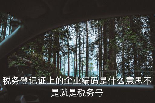 稅務登記證上的企業(yè)編碼是什么意思不是就是稅務號