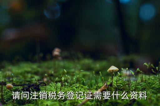 請(qǐng)問(wèn)注銷(xiāo)稅務(wù)登記證需要什么資料