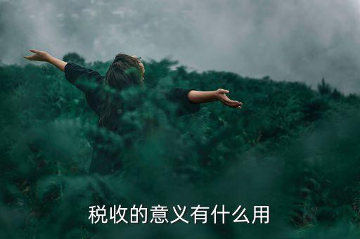 稅收的意義有什么用