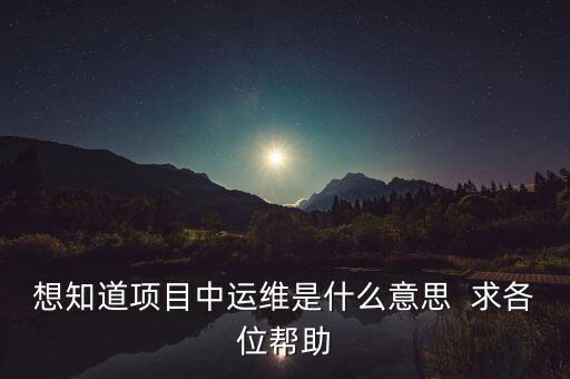 想知道項(xiàng)目中運(yùn)維是什么意思  求各位幫助