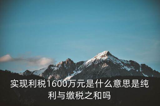 實(shí)時(shí)繳稅是什么意思，實(shí)時(shí)扣稅務(wù)請(qǐng)求3001什么意思