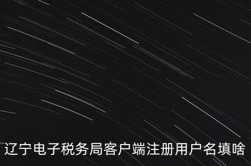 網(wǎng)上辦稅帳號(hào)是什么，登錄國(guó)稅網(wǎng)上辦稅服務(wù)廳的用戶(hù)名和密碼是什么