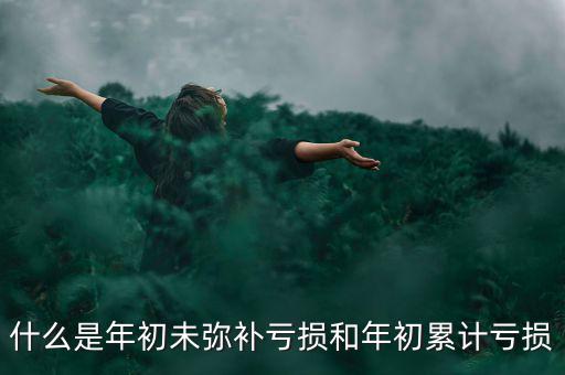 什么是年初未彌補(bǔ)虧損和年初累計虧損