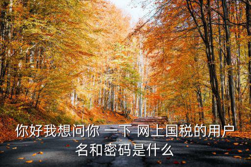 國稅登陸名和密碼是什么意思，國稅第一次網(wǎng)上申報(bào)的登陸密碼是什么