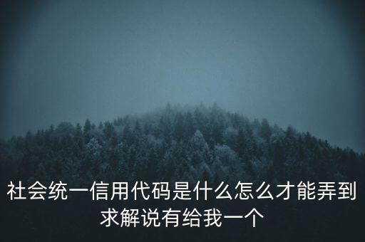 社會(huì)統(tǒng)一信用代碼是什么怎么才能弄到求解說(shuō)有給我一個(gè)