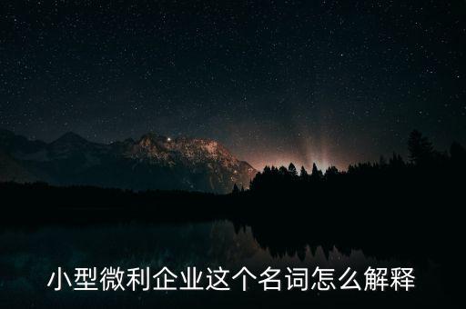 微利成公司是什么意思，小型微利企業(yè)這個(gè)名詞怎么解釋