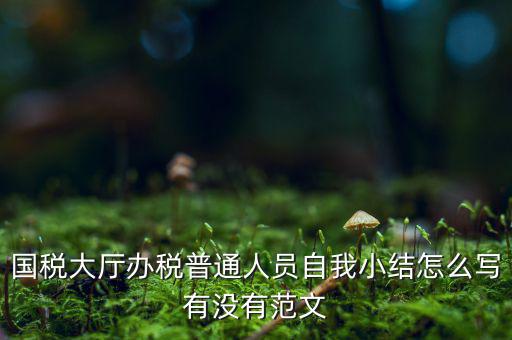 國稅大廳辦稅普通人員自我小結(jié)怎么寫有沒有范文