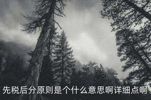 先稅后分原則是個(gè)什么意思啊詳細(xì)點(diǎn)啊