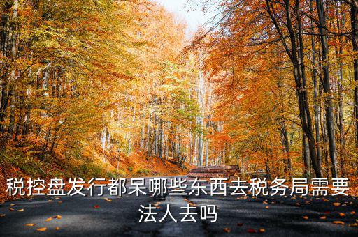 稅控盤發(fā)行都呆哪些東西去稅務(wù)局需要法人去嗎