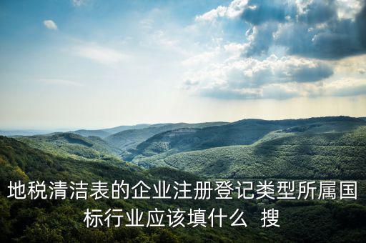 地稅清潔表的企業(yè)注冊(cè)登記類(lèi)型所屬?lài)?guó)標(biāo)行業(yè)應(yīng)該填什么  搜