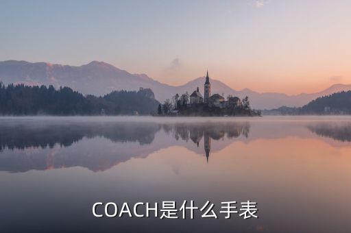 shuiwang是什么表，COACH是什么手表