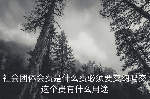 社會(huì)團(tuán)體費(fèi)是什么，誰知道工商個(gè)體協(xié)會(huì)社會(huì)團(tuán)體會(huì)員費(fèi)是什么