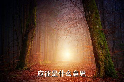 應(yīng)征發(fā)生日期什么意思，應(yīng)征的意思