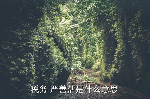 中國(guó)稅務(wù)精神是什么意思，稅務(wù)是什么意思啊學(xué)什么內(nèi)容