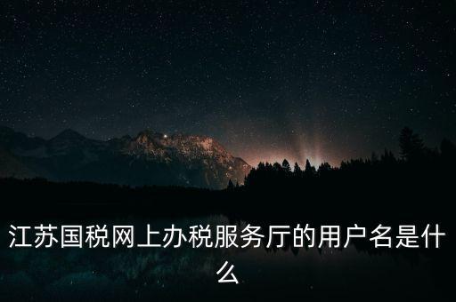 江蘇國稅網上辦稅服務廳的用戶名是什么