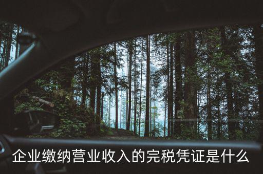 企業(yè)完稅證明是什么，企業(yè)所得稅的完稅證明