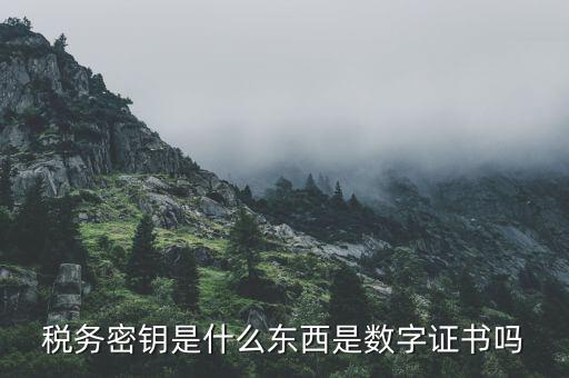 稅務密鑰是什么東西是數(shù)字證書嗎