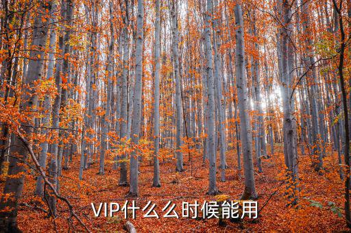 VIP什么么時(shí)候能用