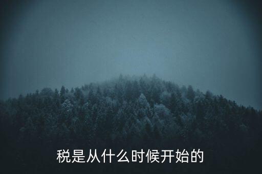 稅是從什么時(shí)候開始的