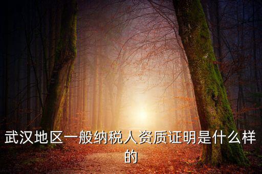 納稅資質(zhì)證明是什么意思，什么是稅務(wù)證明