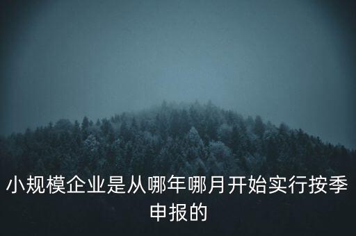 小規(guī)模企業(yè)是從哪年哪月開始實(shí)行按季申報(bào)的