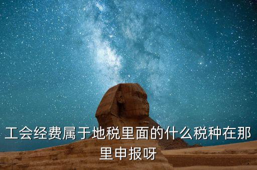 工會活動費中稅是什么，工會經(jīng)費屬于地稅里面的什么稅種在那里申報呀