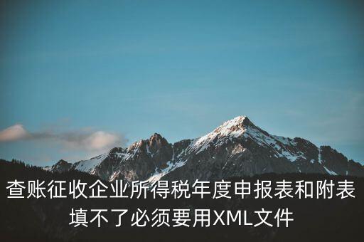 查賬征收企業(yè)所得稅年度申報(bào)表和附表填不了必須要用XML文件