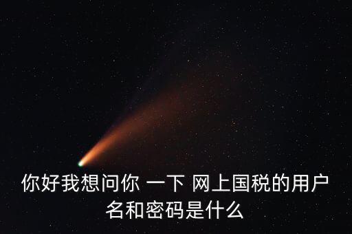 國稅的登錄密碼是什么意思，國稅第一次網(wǎng)上申報的登陸密碼是什么