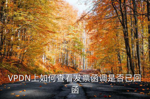 VPDN上如何查看發(fā)票函調(diào)是否已回函