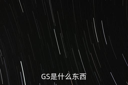 GS是什么東西