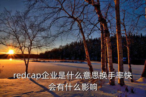 大企業(yè)局是什么意思，廣東省地稅網(wǎng)上的財(cái)務(wù)報(bào)表中的大企業(yè)局?jǐn)?shù)據(jù)報(bào)送是指什么