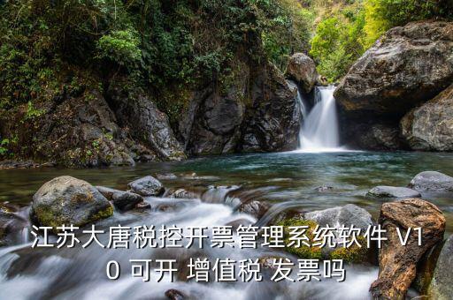 江蘇大唐稅控開票管理系統(tǒng)軟件 V10 可開 增值稅 發(fā)票嗎