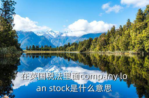 英國(guó)出國(guó)稅 是什么意思，在英國(guó)稅法里面company loan stock是什么意思