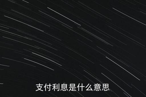 支付利息是什么意思