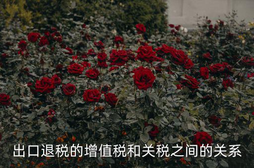 出口關(guān)稅和什么有關(guān)系，出口退稅與進(jìn)口增值稅有什么關(guān)系