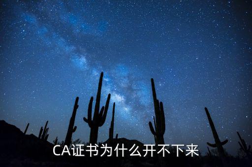 CA證書(shū)為什么開(kāi)不下來(lái)