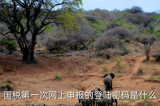 國稅第一次網上申報的登陸密碼是什么