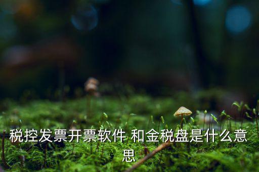 稅控系統(tǒng)指什么，稅控發(fā)票開票軟件 和金稅盤是什么意思