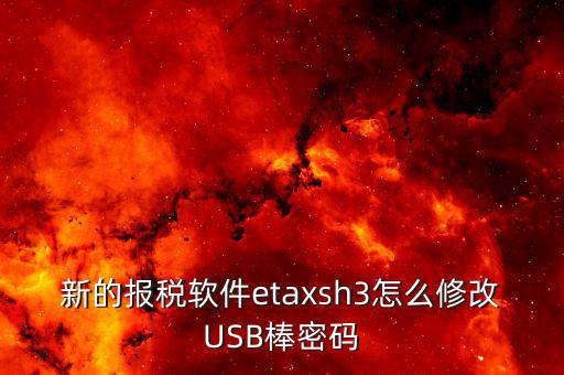 新的報(bào)稅軟件etaxsh3怎么修改USB棒密碼