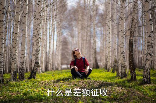 勞務(wù)費(fèi)差額征稅是什么意思，差額稅是啥東西
