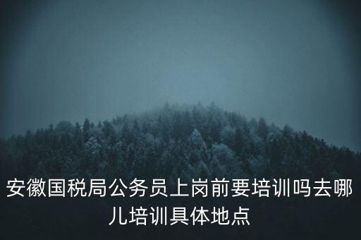 安徽國稅什么時候培訓(xùn)，安徽省稅務(wù)學(xué)校還在嗎那里的教學(xué)樓宿舍和操場都還在嗎沒被拆