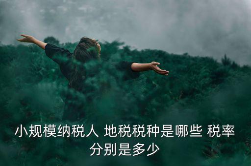 小規(guī)模納稅人 地稅稅種是哪些 稅率分別是多少