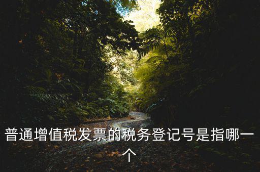 普通增值稅發(fā)票的稅務(wù)登記號是指哪一個